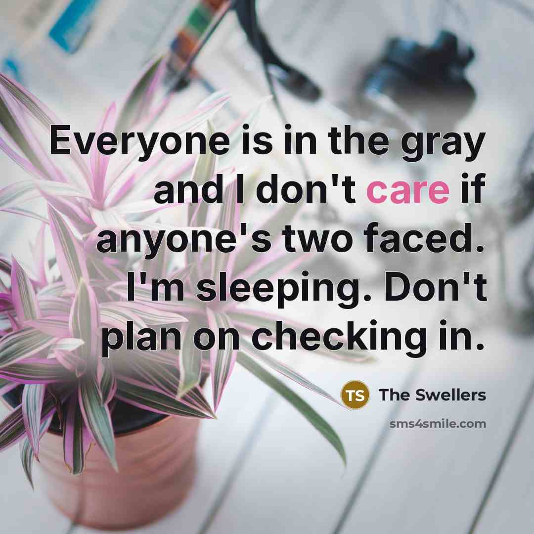 “Everyone is in the gray and I don't care if anyone's two faced. I'm sleeping. Don't plan on checking in.” quote by The Swellers