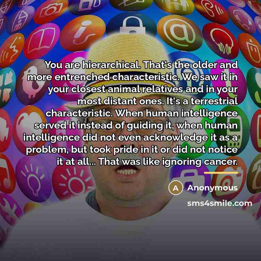 “You are hierarchical. That's the older and more entrenched characteristic.…” quote by Anonymous
