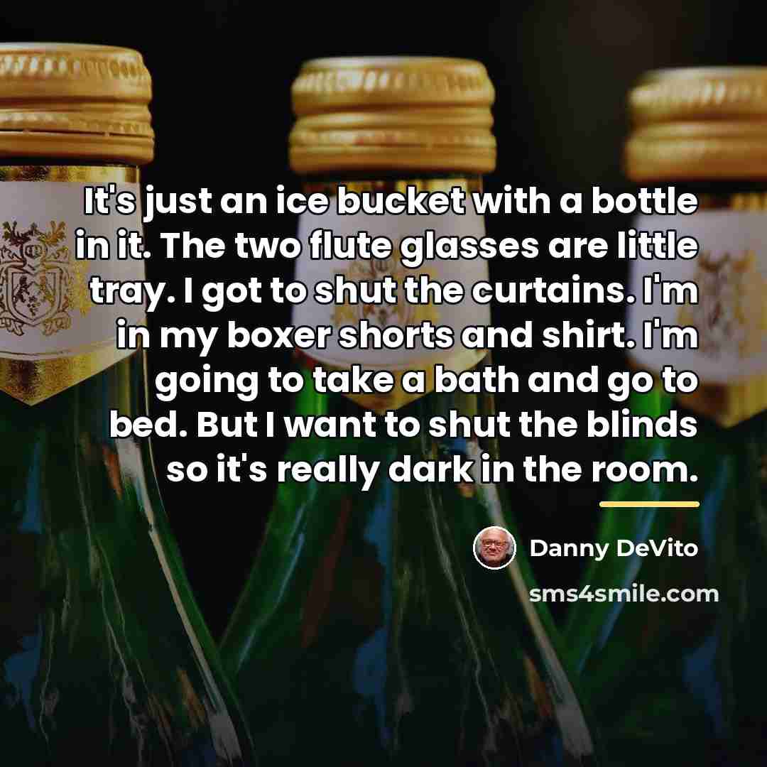 “It's just an ice bucket with a bottle in it.…” quote by Danny DeVito