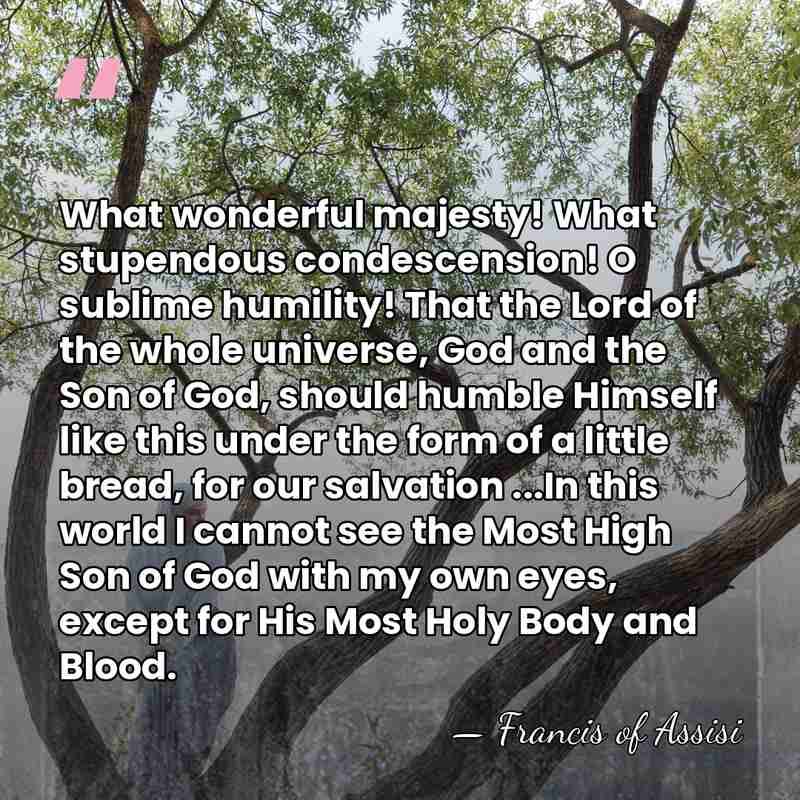 What wonderful majesty! What stupendous condescension! O sublime humility! That the Lord&hellip; - Francis of Assisi