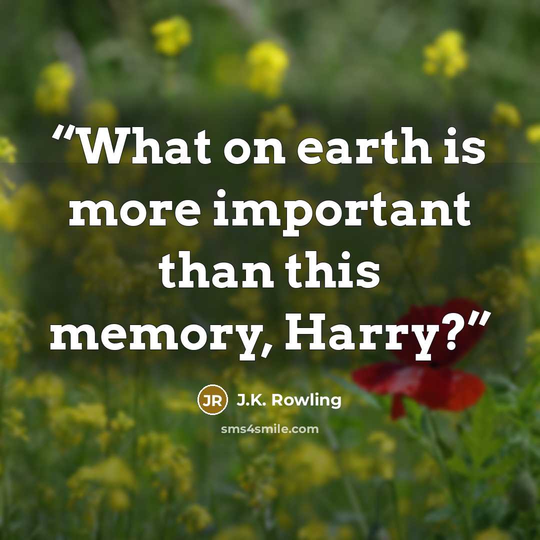 “What on earth is more important than this memory, Harry?” quote by J.K. Rowling
