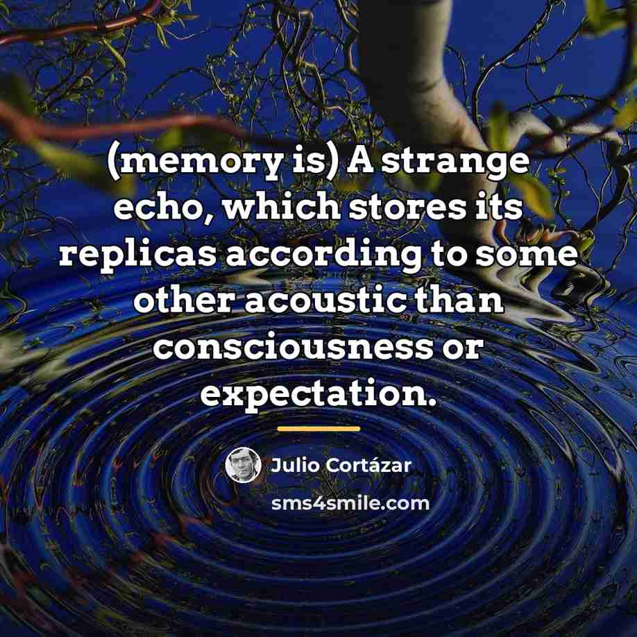 “(memory is) A strange echo, which stores its replicas according…” quote by Julio Cortazar