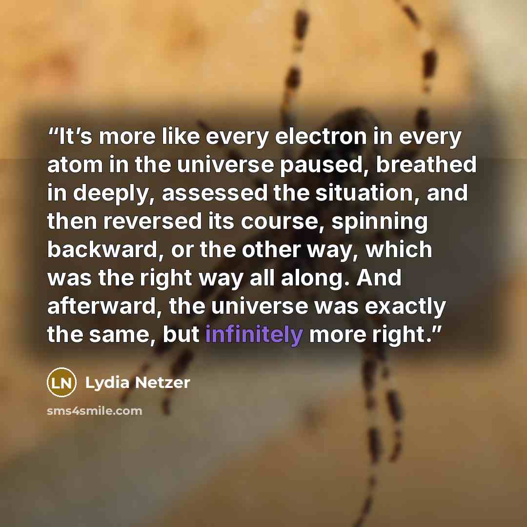 “It’s more like every electron in every atom in the universe paused, breathed in deeply, assessed the situation, and then reversed its course, spinning backward, or the other way, which was the right way all along. And afterward, the universe was exactly the same, but infinitely more right.” quote by Lydia Netzer