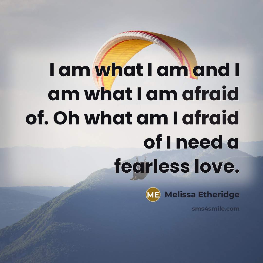 “I am what I am and I am what I…” quote by Melissa Etheridge