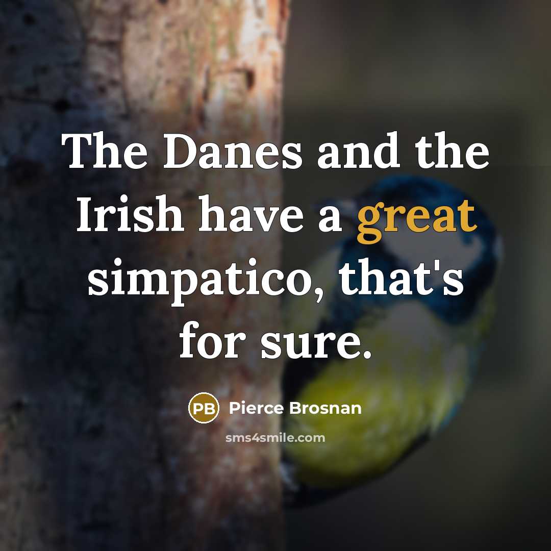 “The Danes and the Irish have a great simpatico, that's…” quote by Pierce Brosnan