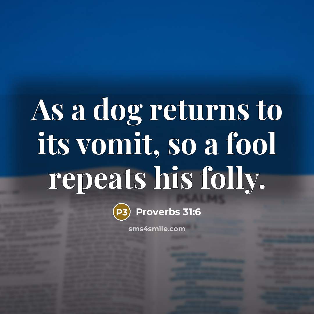 “As a dog returns to its vomit, so a fool…” quote by Proverbs 31:6