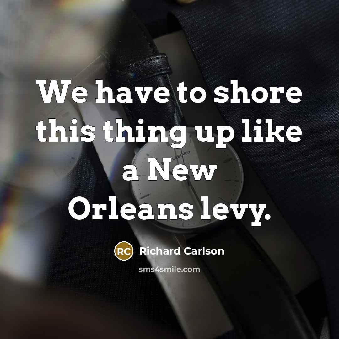“We have to shore this thing up like a New Orleans levy.” quote by Richard Carlson