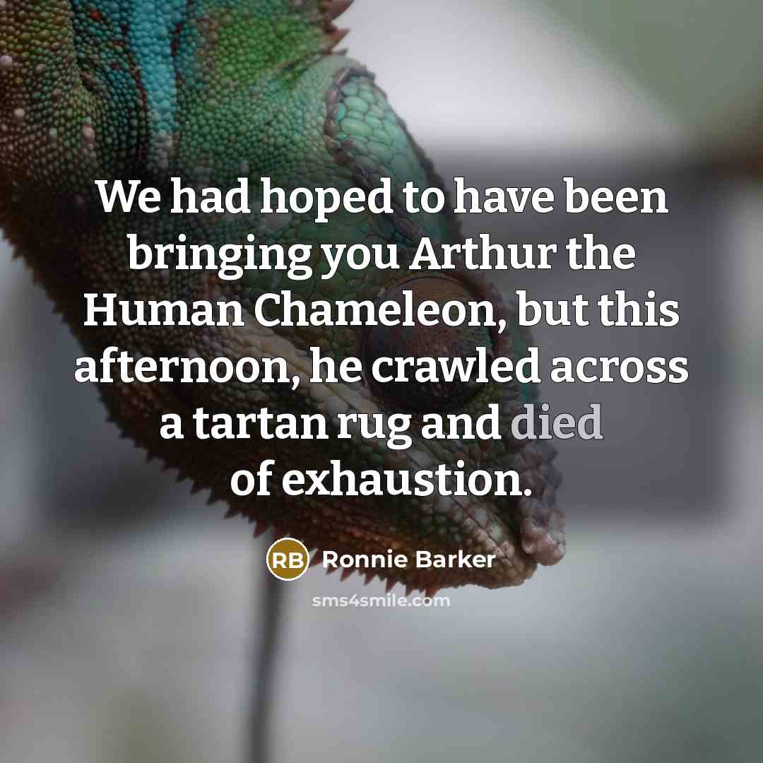 “We had hoped to have been bringing you Arthur the…” quote by Ronnie Barker