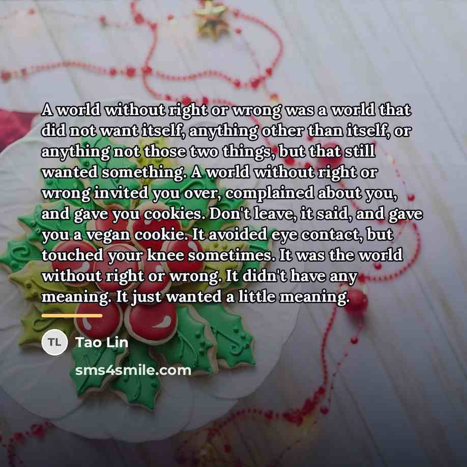 “A world without right or wrong was a world that…” quote by Tao Lin