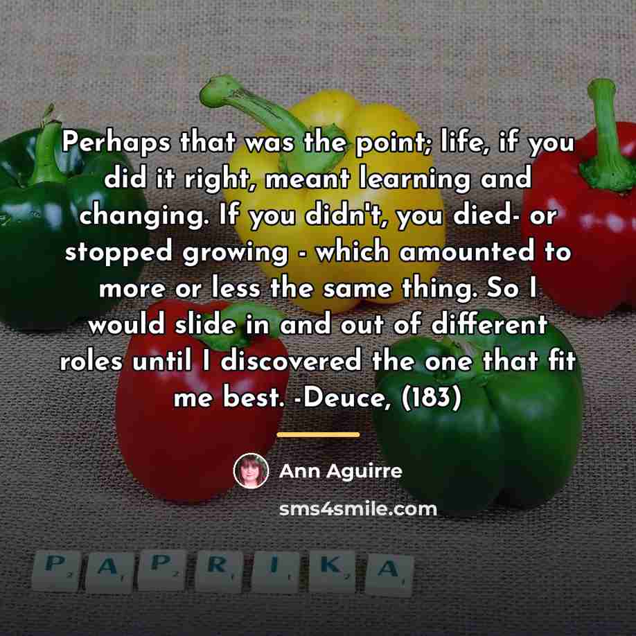 “Perhaps that was the point; life, if you did it…” quote by Ann Aguirre