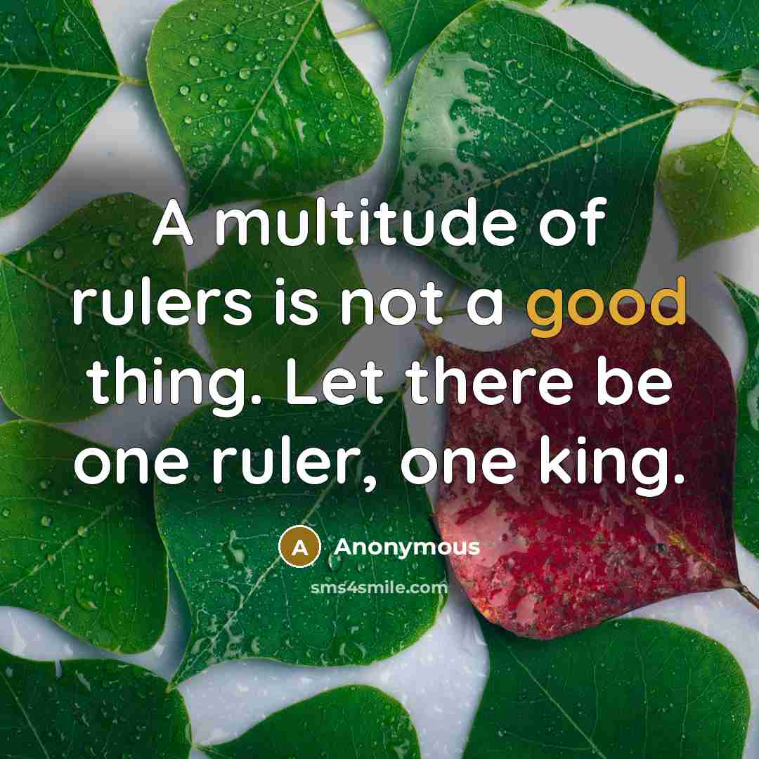 “A multitude of rulers is not a good thing. Let…” quote by Anonymous