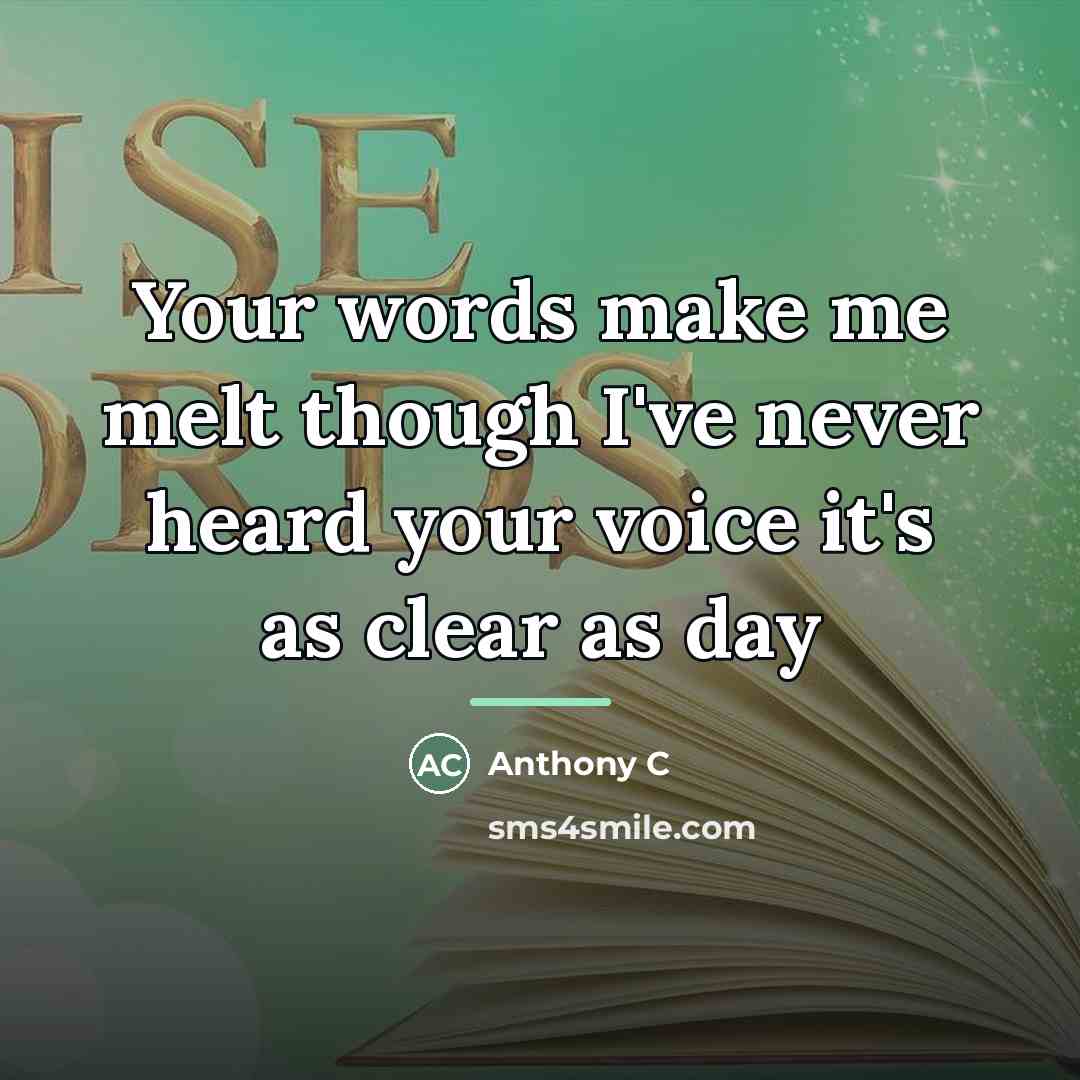 “Your words make me melt though I've never heard your…” quote by Anonymous