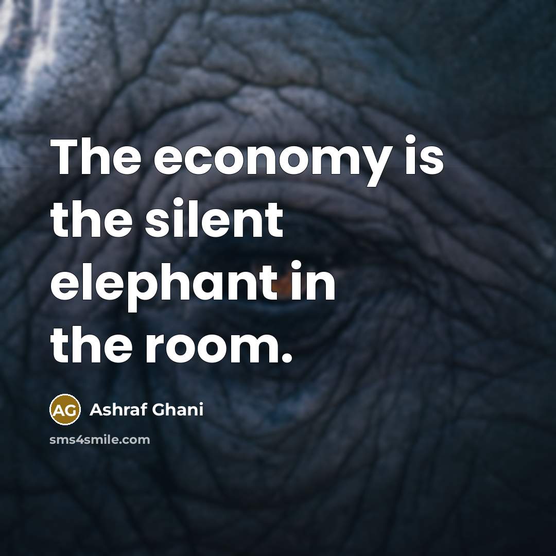 “The economy is the silent elephant in the room.…” quote by Ashraf Ghani