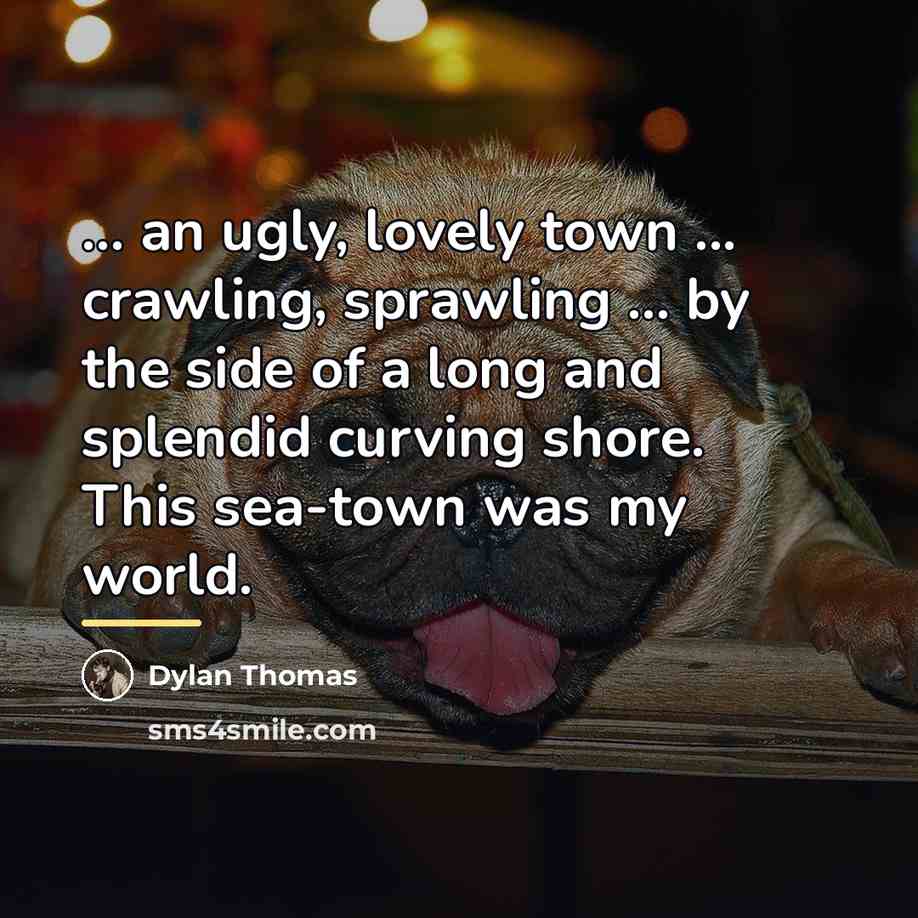 “... an ugly, lovely town ... crawling, sprawling ... by…” quote by Dylan Thomas