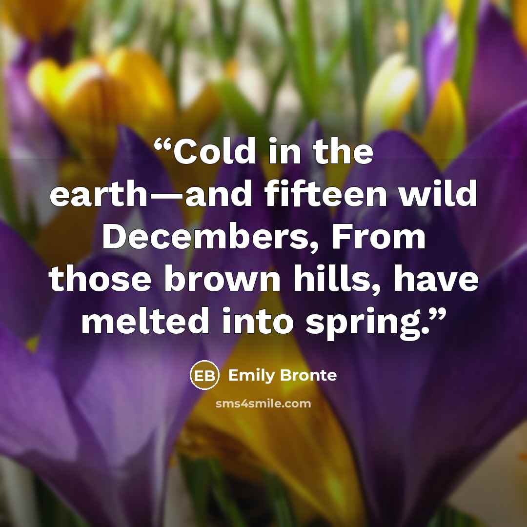 “Cold in the earth—and fifteen wild Decembers, From those brown hills, have melted into spring.” quote by Emily Brontë