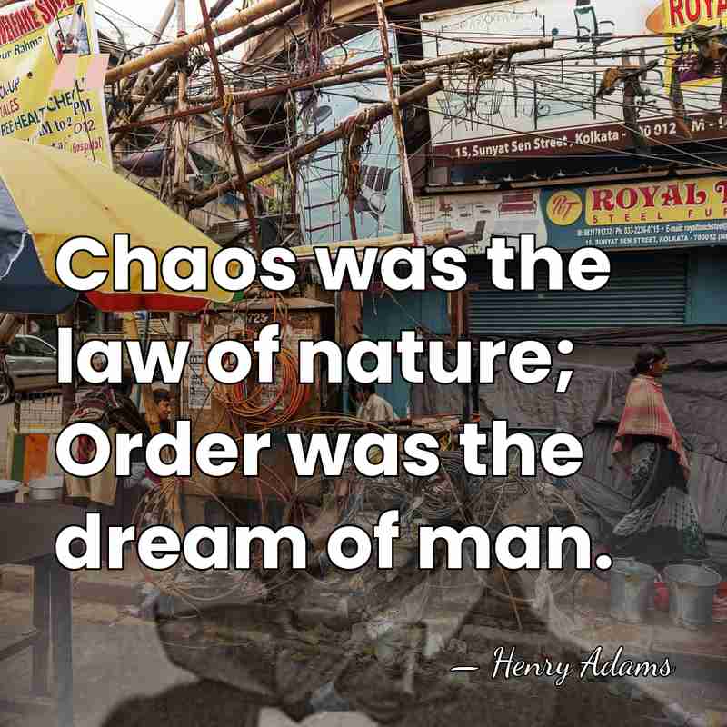 Chaos was the law of nature; Order was the dream of man. - Henry Adams