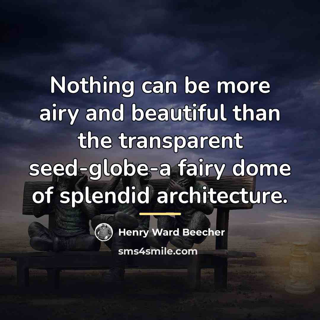 “Nothing can be more airy and beautiful than the transparent…” quote by Henry Ward Beecher