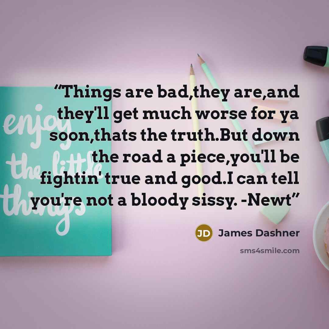 “Things are bad,they are,and they'll get much worse for ya soon,thats the truth.But down the road a piece,you'll be fightin' true and good.I can tell you're not a bloody sissy. -Newt” quote by james dashner