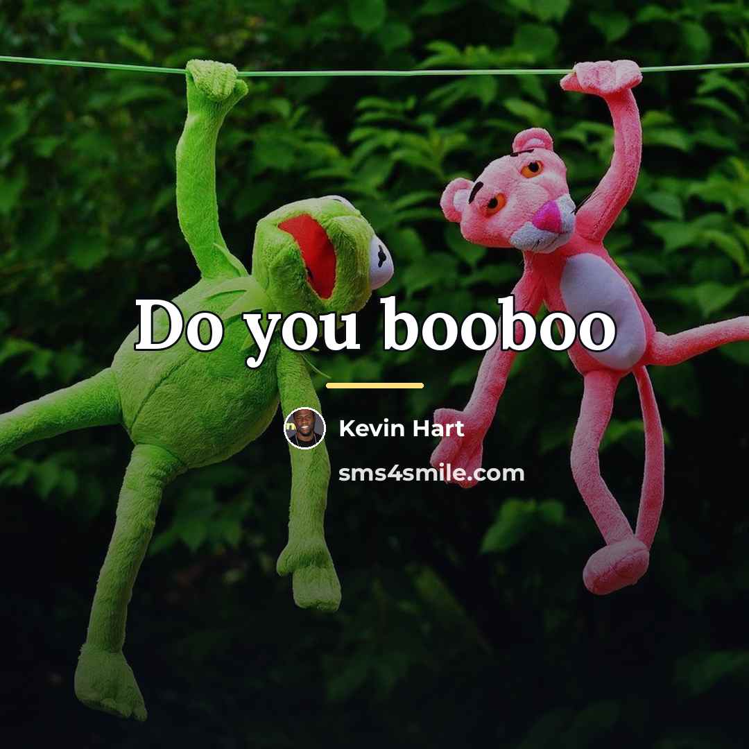 “Do you booboo…” quote by Kevin Hart
