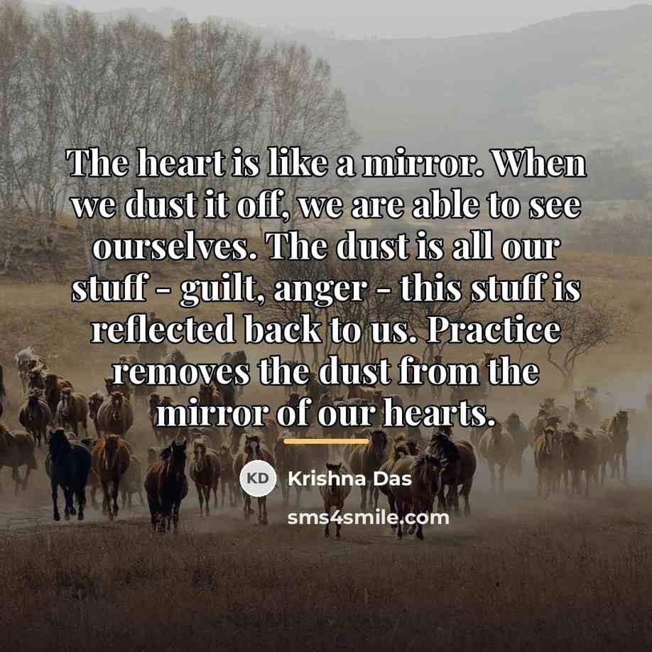 “The heart is like a mirror. When we dust it…” quote by Krishna Das