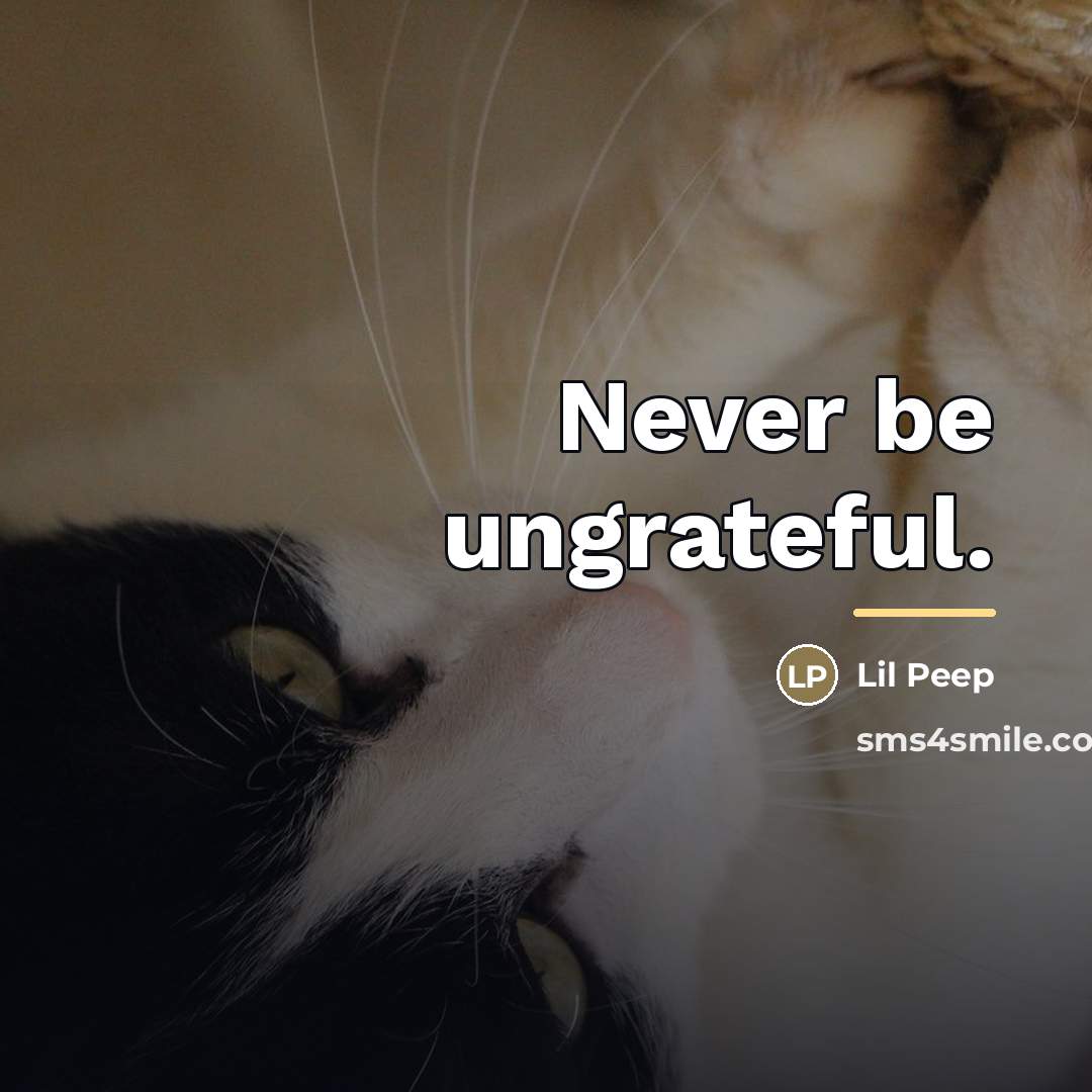 “Never be ungrateful.…” quote by Lil Peep