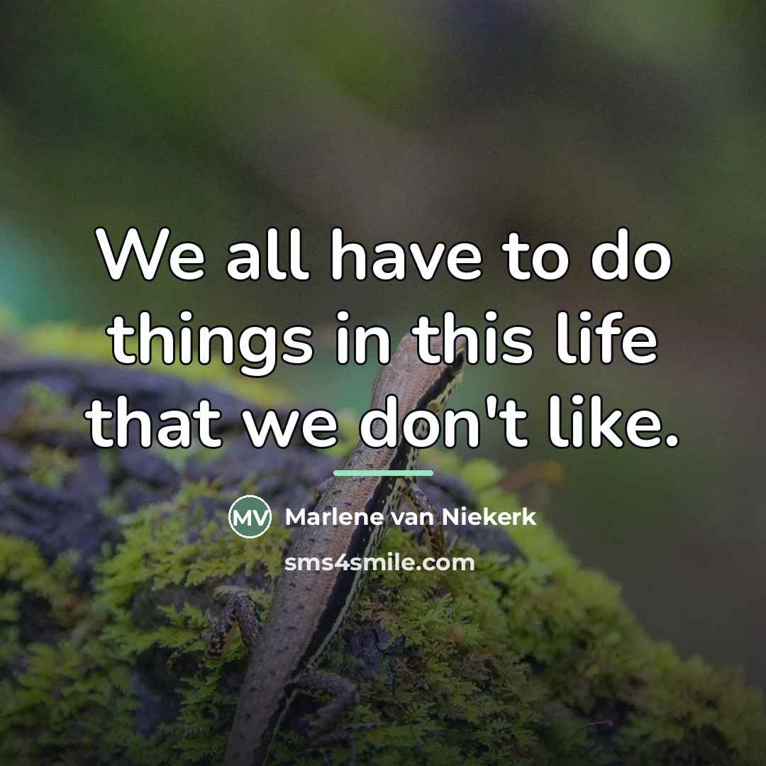 “We all have to do things in this life that…” quote by Marlene van Niekerk