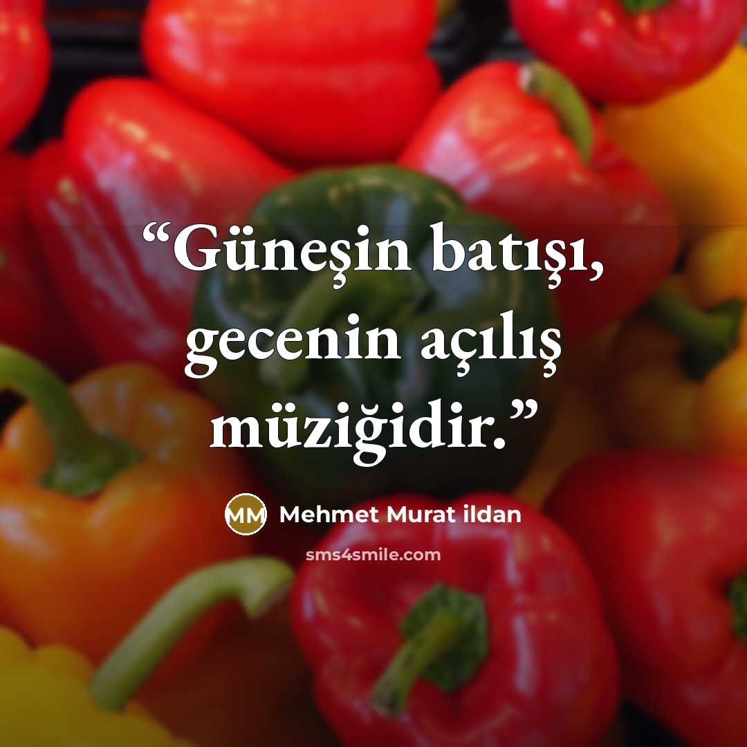 “Güneşin batışı, gecenin açılış müziğidir.” quote by Mehmet Murat ildan