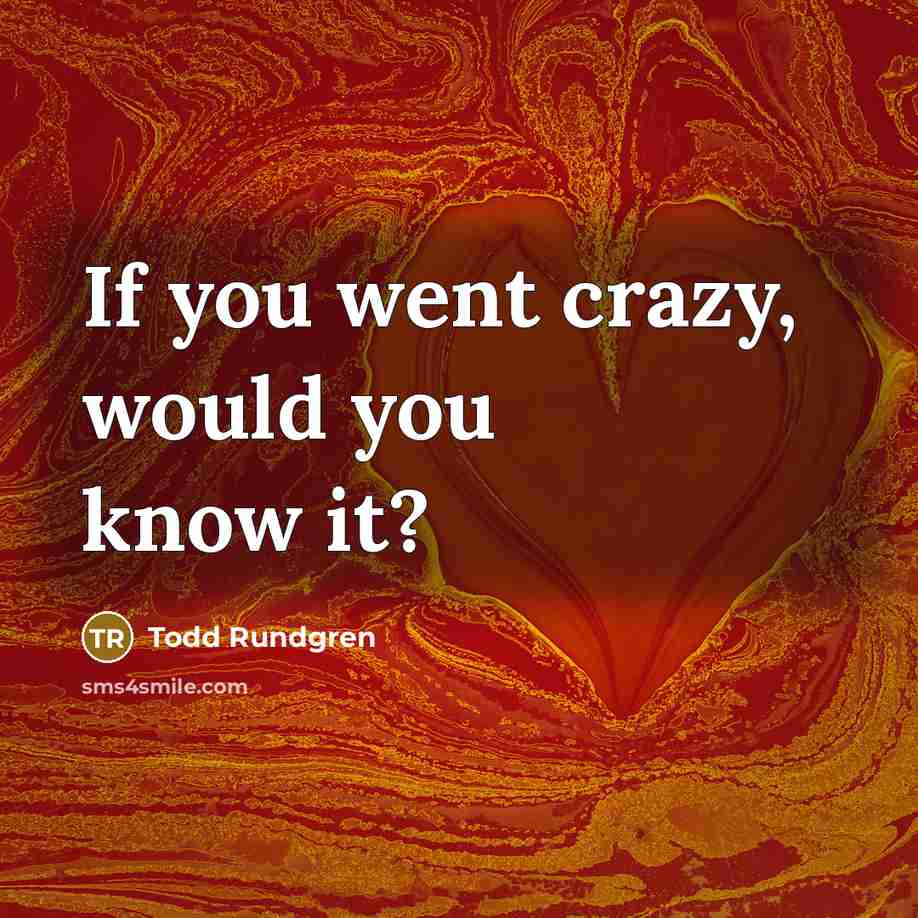 “If you went crazy, would you know it?…” quote by Todd Rundgren