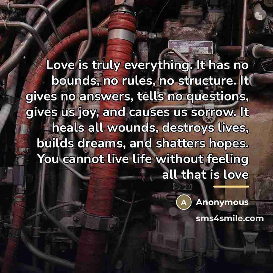 “Love is truly everything. It has no bounds, no rules,…” quote by Anonymous