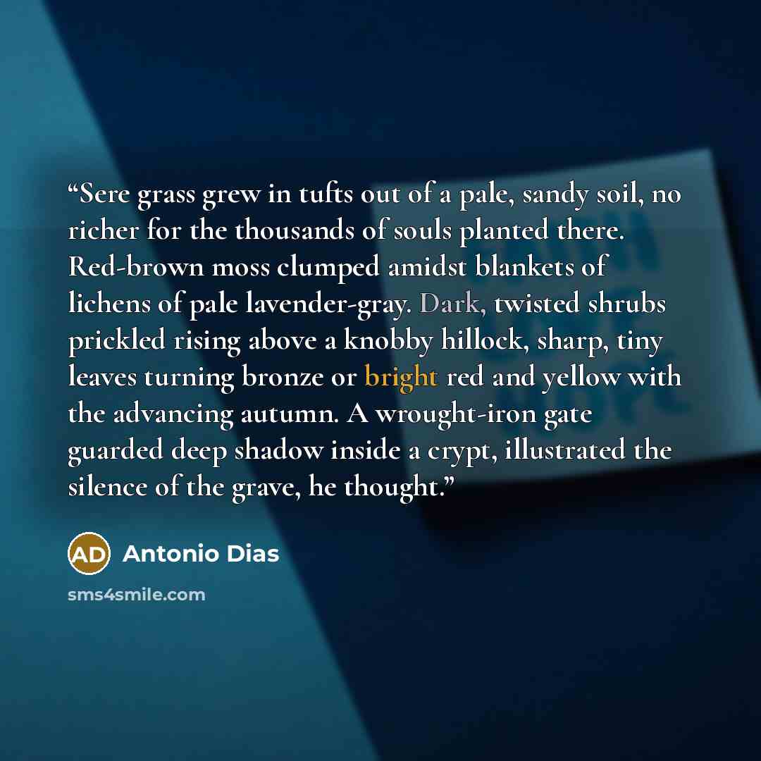 “Sere grass grew in tufts out of a pale, sandy soil, no richer for the thousands of souls planted there. Red-brown moss clumped amidst blankets of lichens of pale lavender-gray. Dark, twisted shrubs prickled rising above a knobby hillock, sharp, tiny leaves turning bronze or bright red and yellow…” quote by Antonio Dias