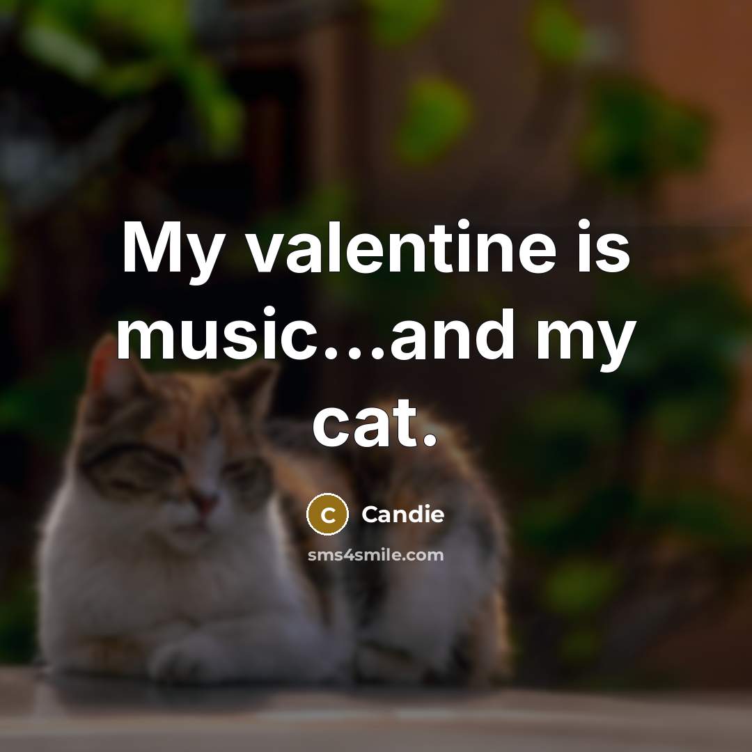 “My valentine is music...and my cat.…” quote by Candie