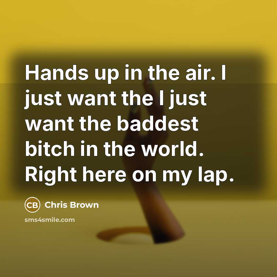 “Hands up in the air. I just want the I just want the baddest bitch in the world. Right here on my lap.” quote by Chris Brown