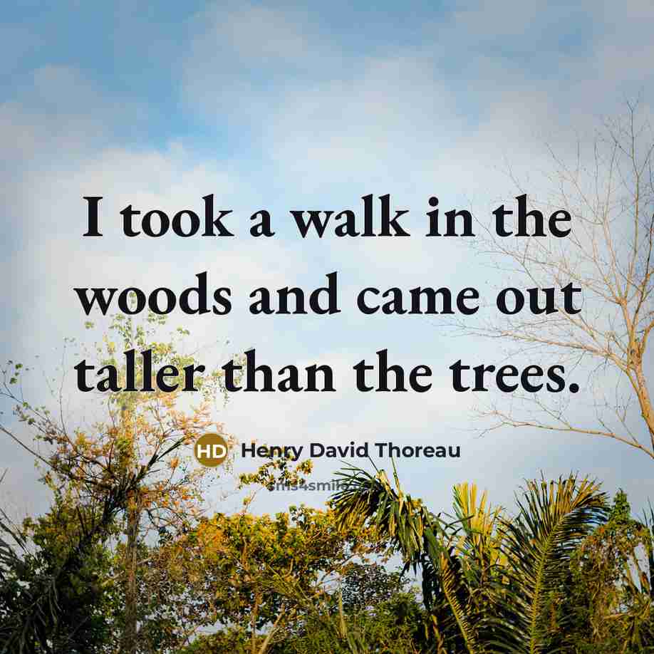 “I took a walk in the woods and came out…” quote by Henry David Thoreau