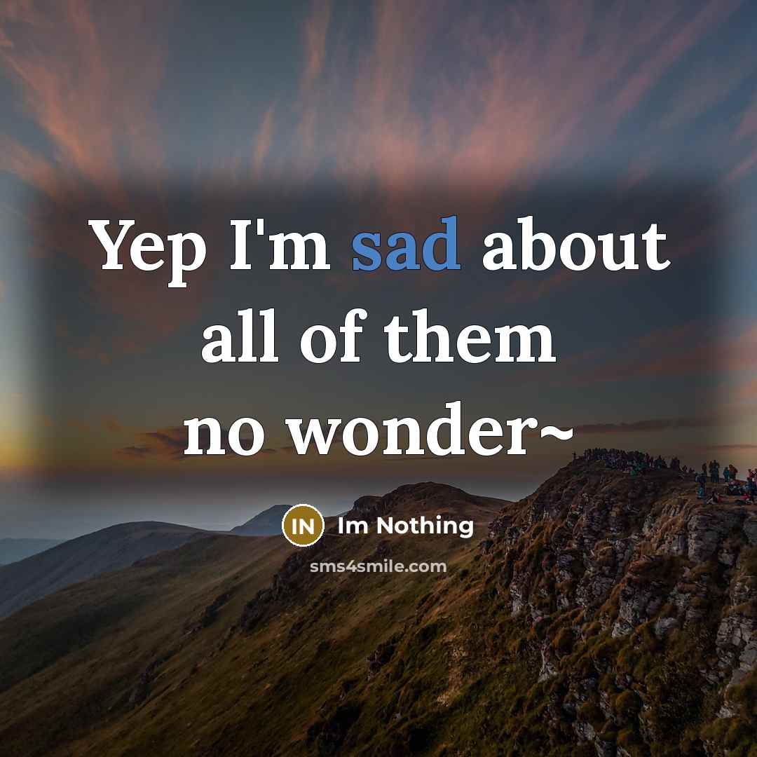 “Yep I'm sad about all of them no wonder~…” quote by Im Nothing