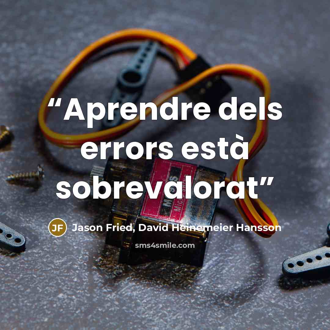 “Aprendre dels errors està sobrevalorat” quote by Jason Fried, David Heinemeier Hansson