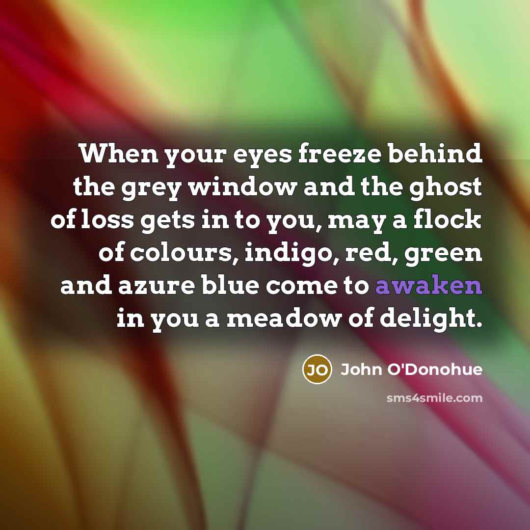 “When your eyes freeze behind the grey window and the…” quote by John O'Donohue