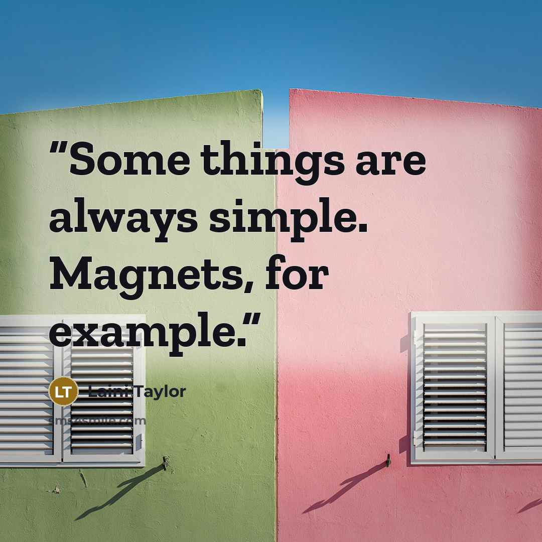 “Some things are always simple. Magnets, for example.” quote by Laini Taylor
