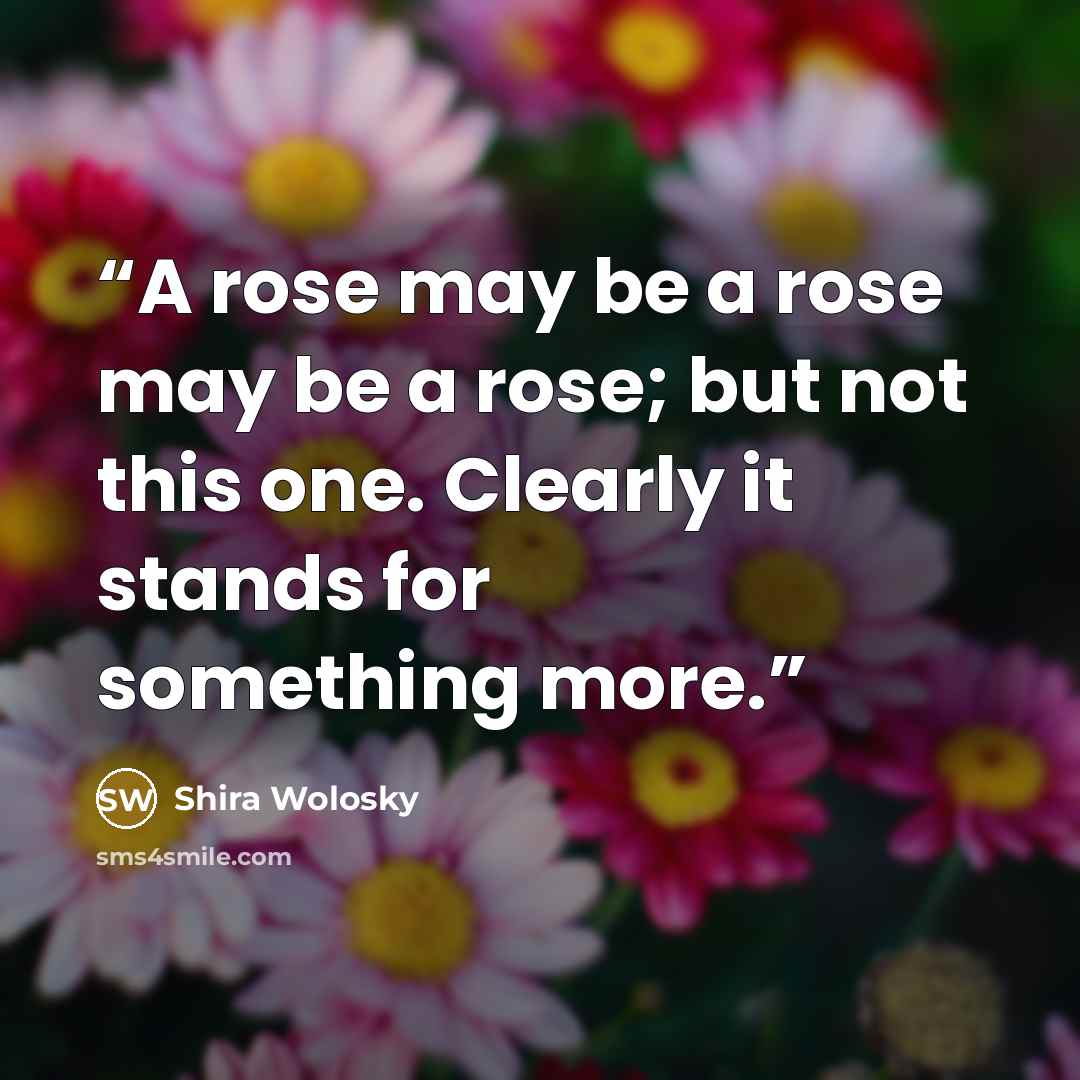 “A rose may be a rose may be a rose; but not this one. Clearly it stands for something more.” quote by Shira Wolosky