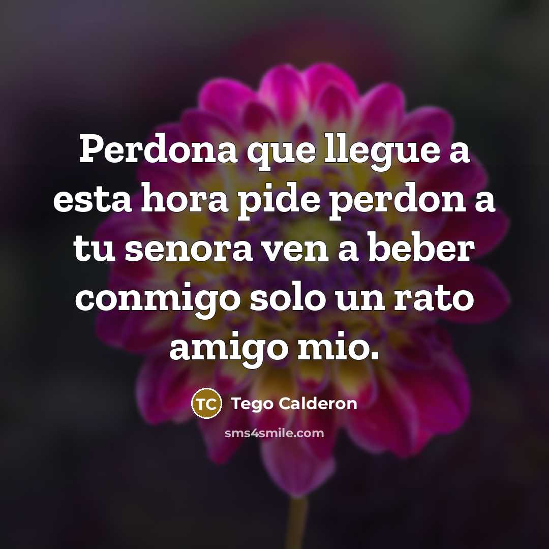 “Perdona que llegue a esta hora pide perdon a tu…” quote by Tego Calderon