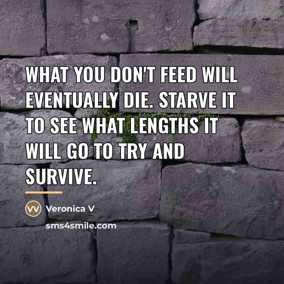 “What you don't feed will eventually die. Starve it to…” quote by Veronica V