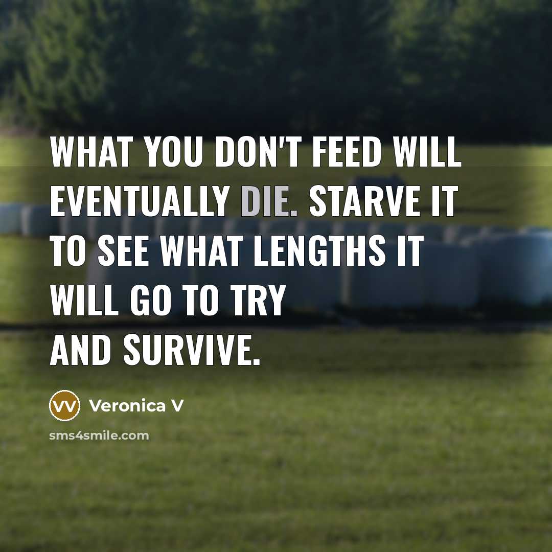 “What you don't feed will eventually die. Starve it to see what lengths it will go to try and survive.” quote by Veronica V