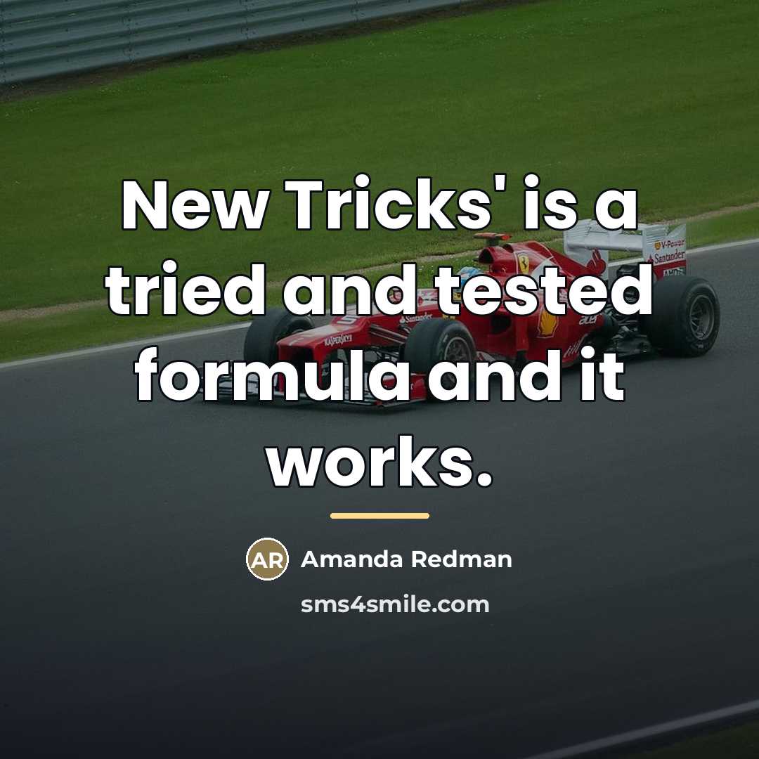 “New Tricks' is a tried and tested formula and it…” quote by Amanda Redman