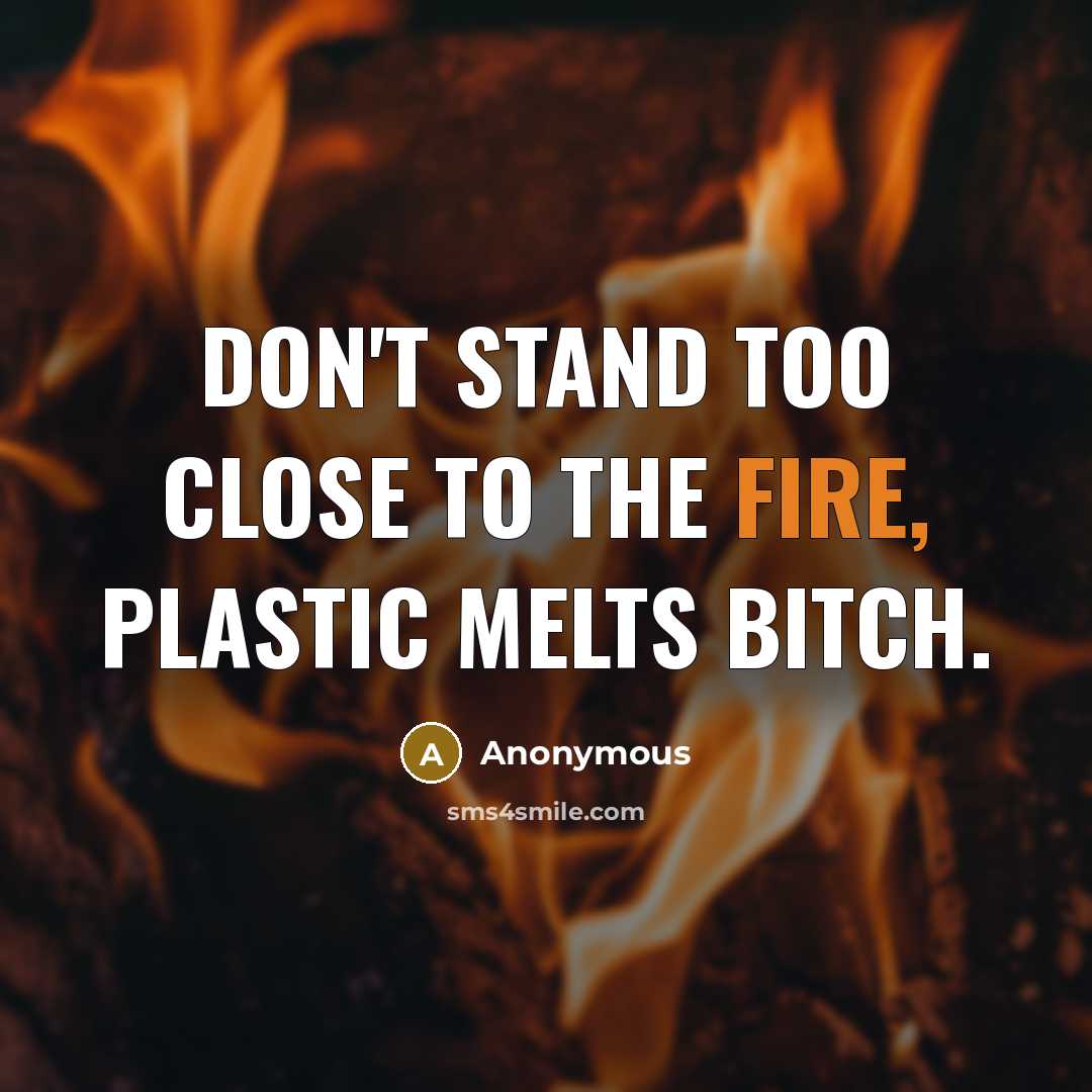 “Don't stand too close to the fire, plastic melts BITCH.…” quote by Anonymous