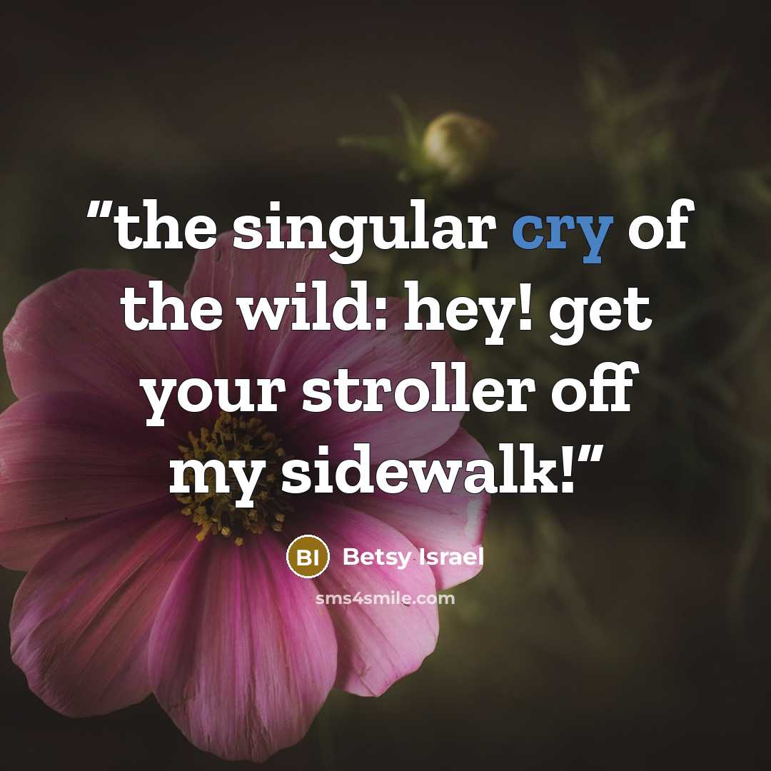 “the singular cry of the wild: hey! get your stroller off my sidewalk!” quote by Betsy Israel