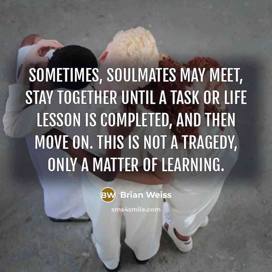 “Sometimes, soulmates may meet, stay together until a task or…” quote by Brian Weiss