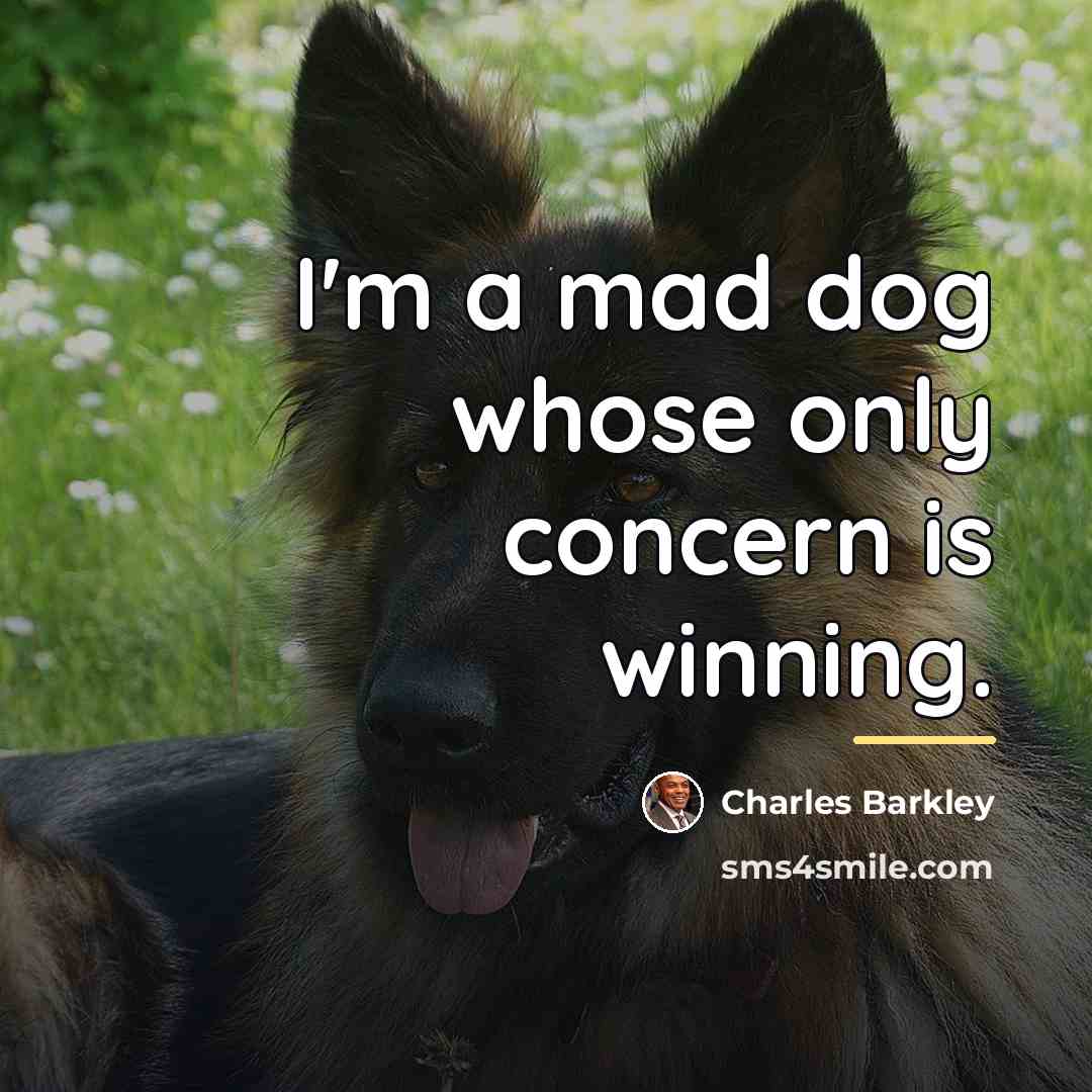 “I'm a mad dog whose only concern is winning.…” quote by Charles Barkley