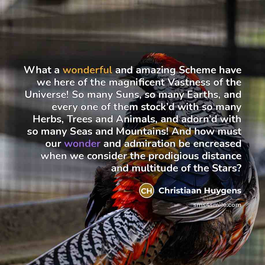 “What a wonderful and amazing Scheme have we here of…” quote by Christiaan Huygens