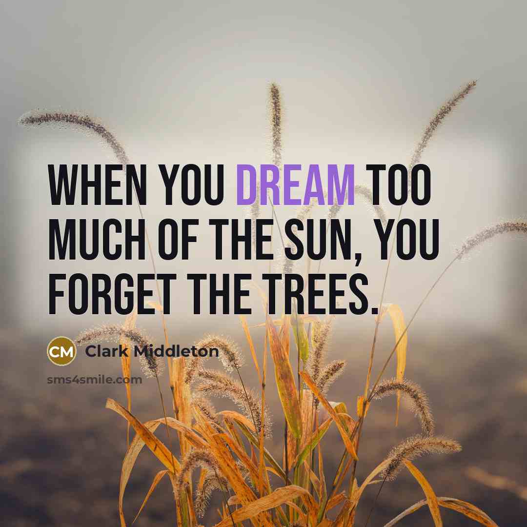 “When you dream too much of the sun, you forget the trees.” quote by Clark Middleton