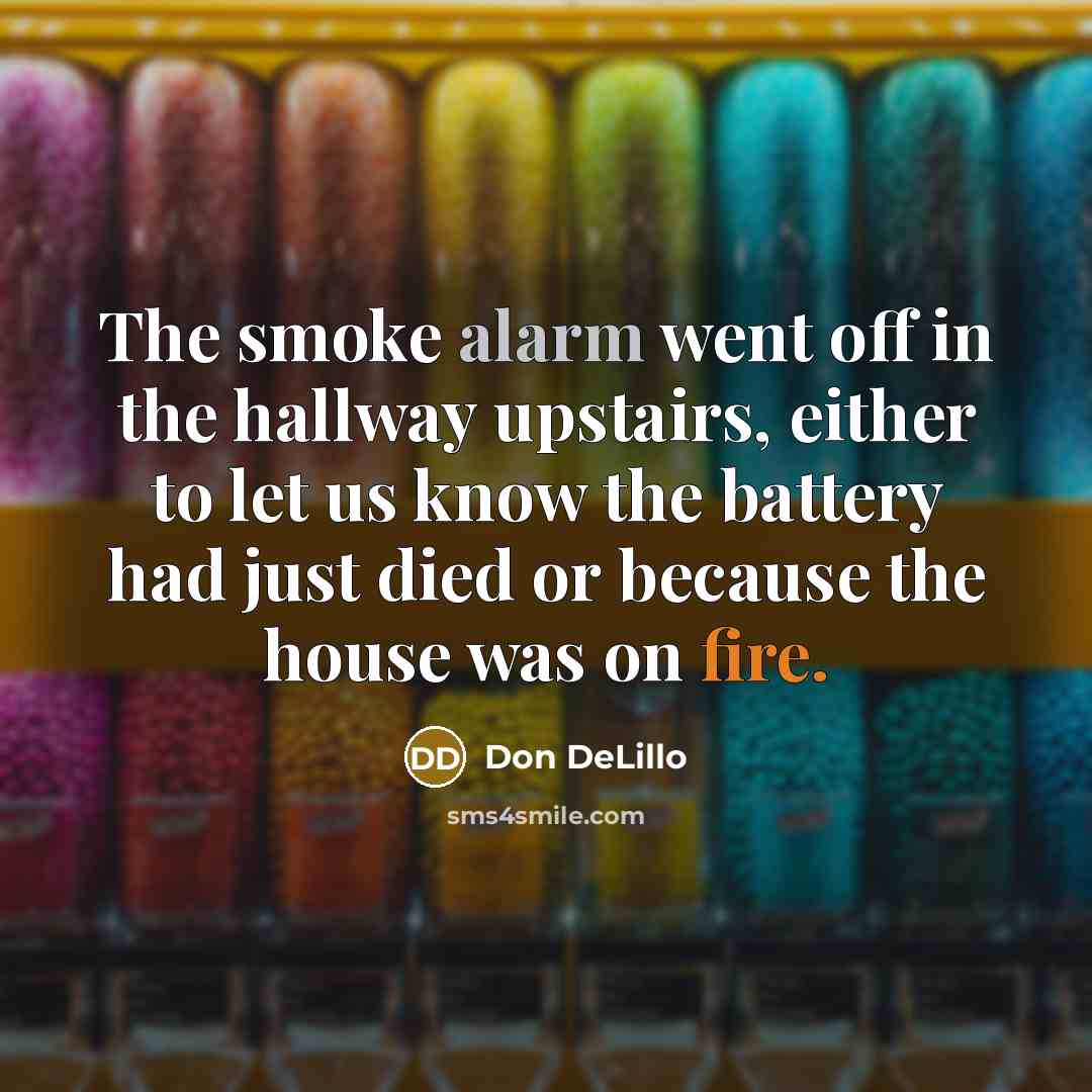 “The smoke alarm went off in the hallway upstairs, either…” quote by Don DeLillo