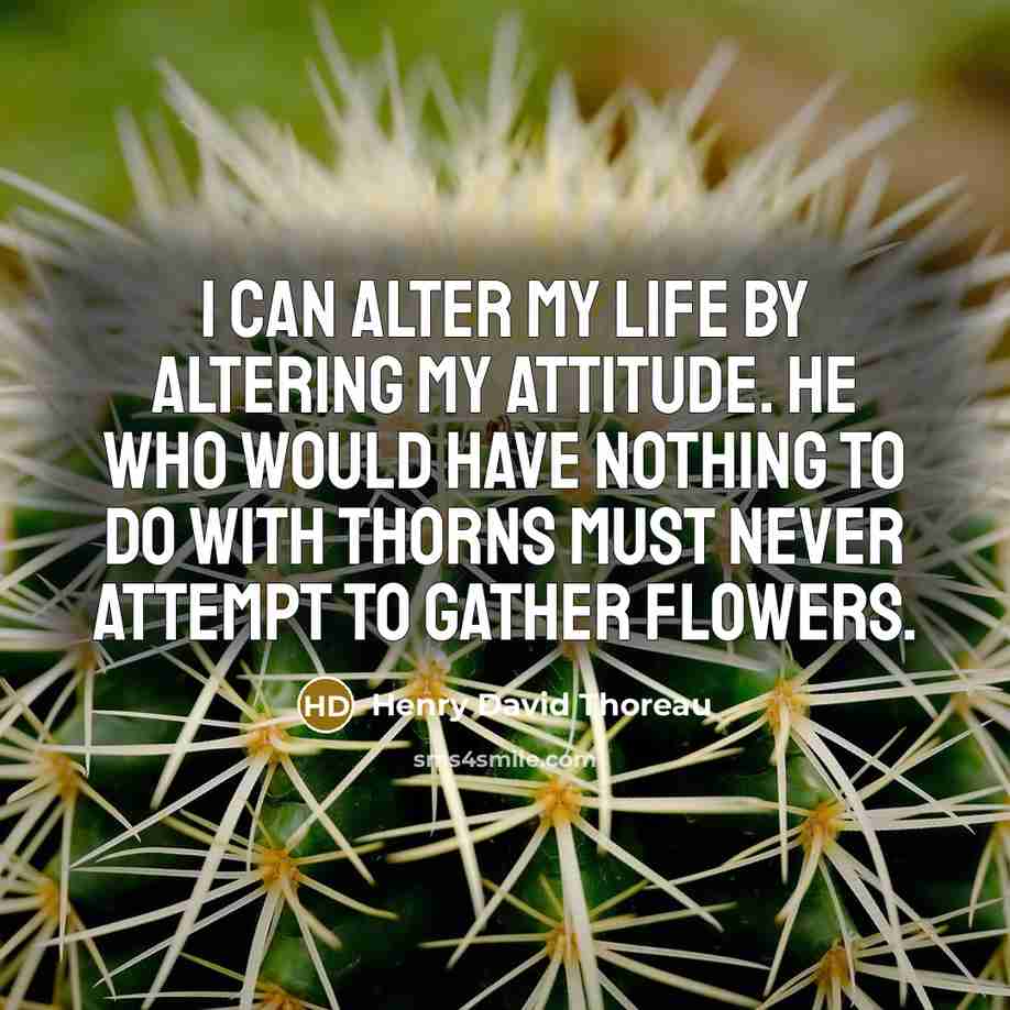 “I can alter my life by altering my attitude. He who would have nothing to do with thorns must never attempt to gather flowers.” quote by Henry David Thoreau